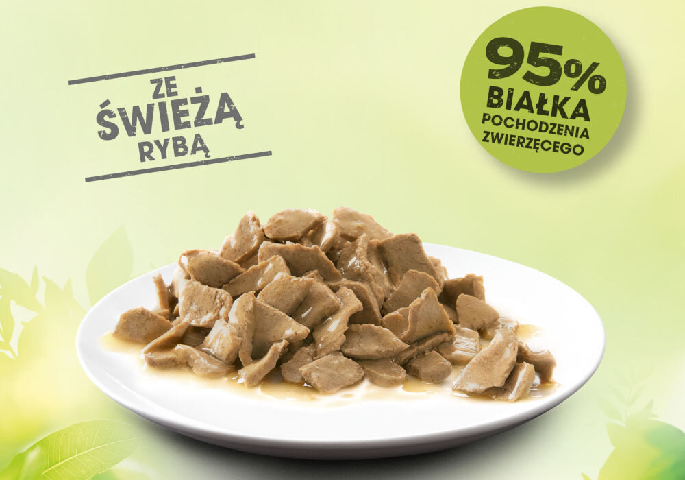 Karma dla kota PERFECT FIT Adult 1+ Ryba oceaniczna z łososiem (6 x 50 g) Zdjęcie talerza wypełnionego kawałkami karmy mokrej w sosie/galarecie. Tło jest jasne, zielonkawe. Nałożone hasła promocyjne to: ZE ŚWIEŻĄ RYBĄ oraz okrągłe oznaczenie 95% BIAŁKA POCHODZENIA ZWIERZĘCEGO