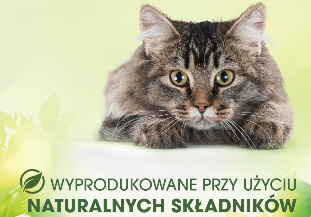 Karma dla kota PERFECT FIT Adult 1+ Ryba oceaniczna z łososiem (6 x 50 g) Zdjęcie długowłosego, brązowo-pasiasty kot (prawdopodobnie Maine Coon lub kot syberyjski) leżącego na jasnym, zielonym tle. Na dole widoczny jest tekst WYPRODUKOWANE PRZY UŻYCIU NATURALNYCH SKŁADNIKÓW z ikoną liścia.