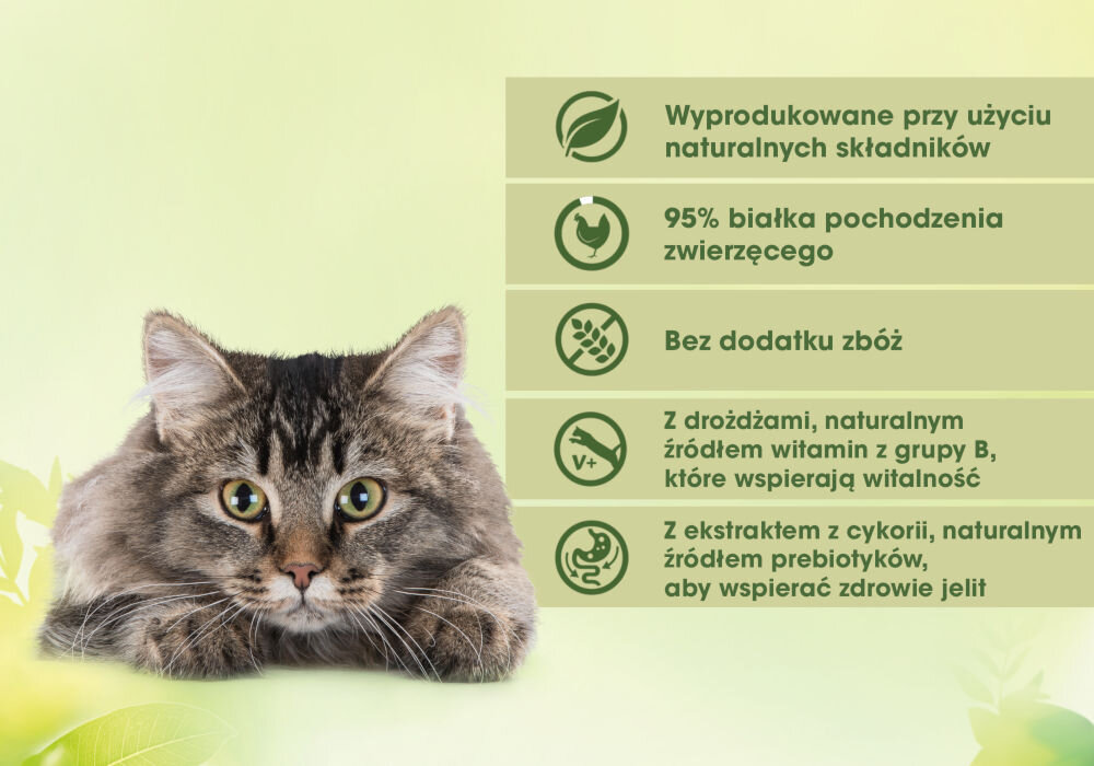 Karma dla kota PERFECT FIT Adult 1+ Ryba oceaniczna z łososiem (6 x 50 g) Grafika informacyjna. Długowłosy, brązowo-pasiasty kot (prawdopodobnie Maine Coon lub kot syberyjski) wpatruje się w widza. Obok kota, na zielonym tle, wymienione są kluczowe cechy karmy: Wyprodukowane przy użyciu naturalnych składników (ikona liścia). 95% białka pochodzenia zwierzęcego (ikona kurczaka). Bez dodatku zbóż (ikona przekreślonego ziarna). Z drożdżami, naturalnym źródłem witamin z grupy B, które wspierają witalność (ikona V+). Z ekstraktem z cykorii, naturalnym źródłem prebiotyków, aby wspierać zdrowie jelit (ikona cykorii/prebiotyków)