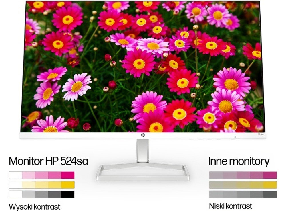 Monitor HP 524sa 23.8 1920x1080px IPS 100Hz obraz jakość matryca parametry