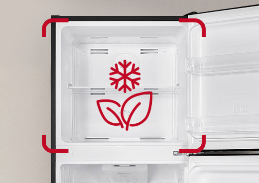 Zbliżenie na zamrażalnik górny. Ikony płatka śniegu i liści.