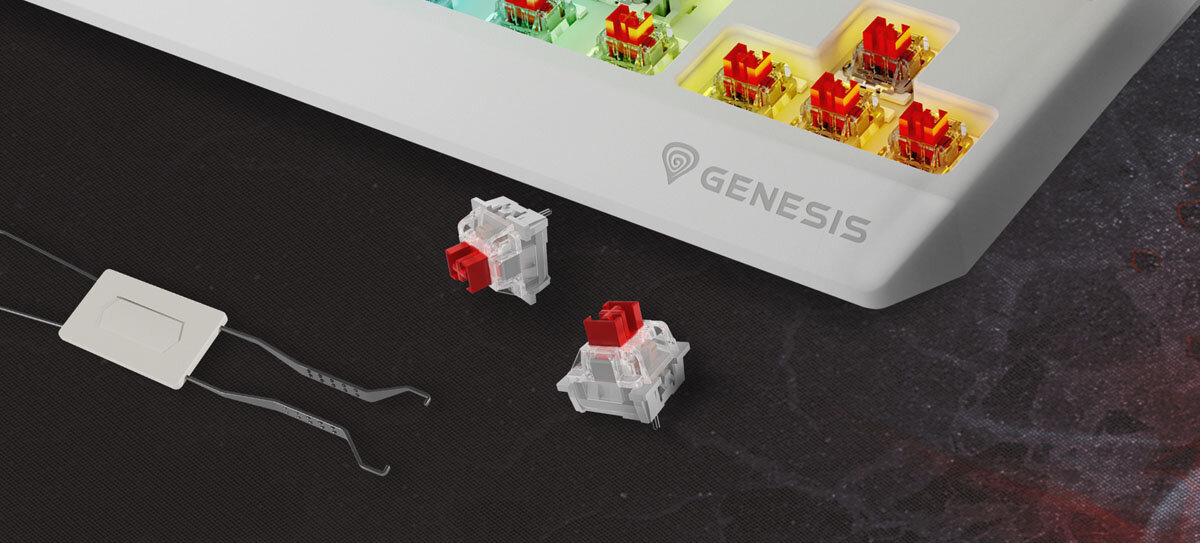 GENESIS Thor 230 TKL Wireless pianka wygłuszająca Dodatkowe wyciszenie spacji - Klawiatura z kolorowymi przełącznikami oraz dwoma wyciągniętymi przełącznikami obok narzędzia.