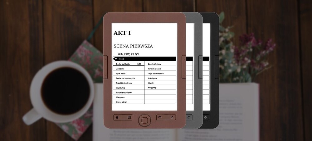 Czytnik e-booków BEMI Cognita+ opis