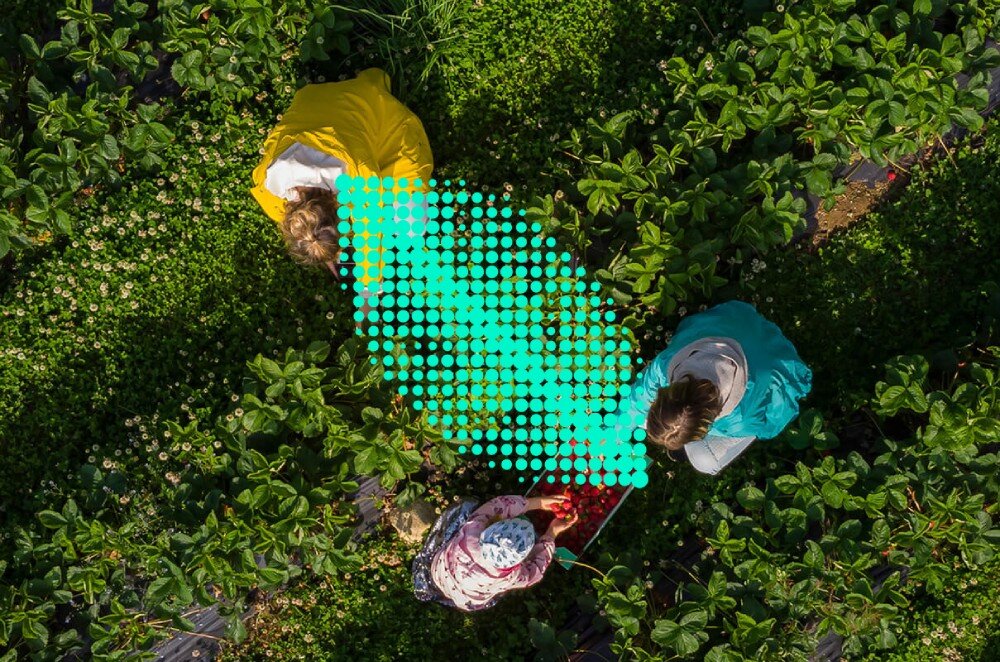 Punkt dostępu ASUS ExpertWiFi EBA63 Widok z lotu ptaka na osoby pracujące na polu uprawnym z nałożoną grafiką w kształcie strzałki złożonej z turkusowych punktów