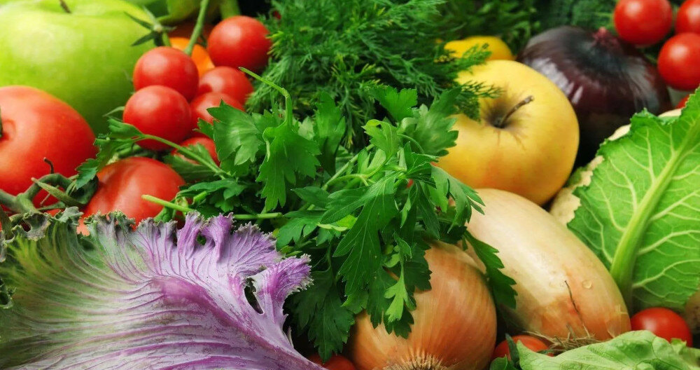 LODÓWKA LIEBHERR CTPELE 231 SMARTFROST pojemniki warzywa owoce przechowywanie funkcjonalne praktyczne Przezroczyste ścianki