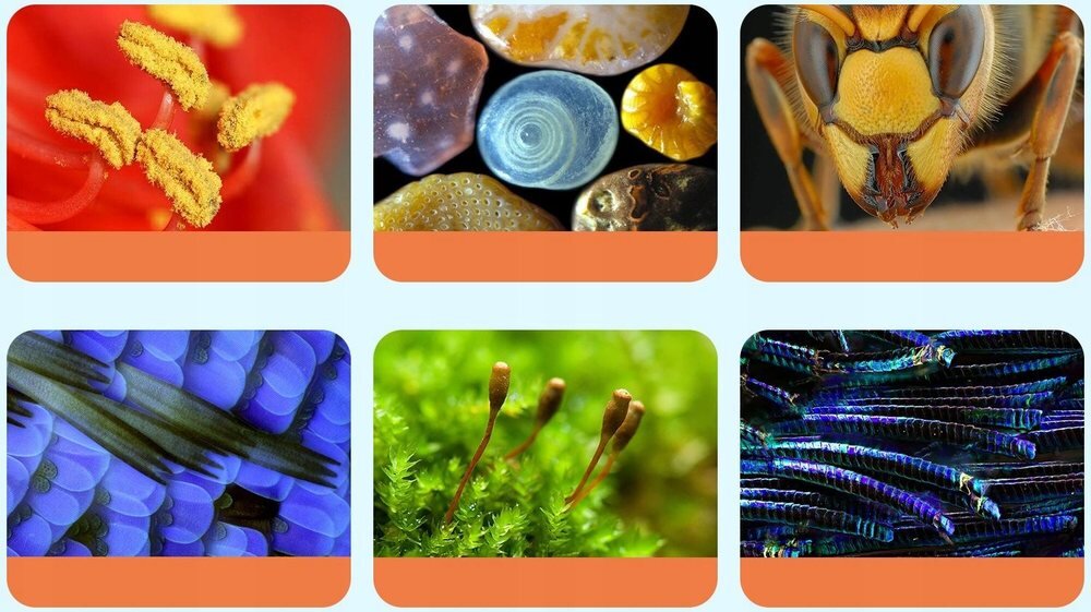 Mikroskop cyfrowy APEXEL APL-MS201 pięciostopniowa regulacja powiększenia 