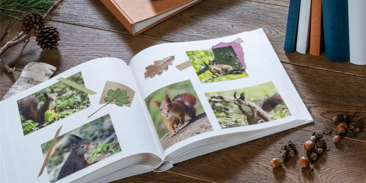 Album HAMA Wrinkled 24x17 Brązowy (36 stron)
				klasyczny wygląd książki, elegancki charakter, klasyczny design,
				otwarty album na drewnianym podłożu