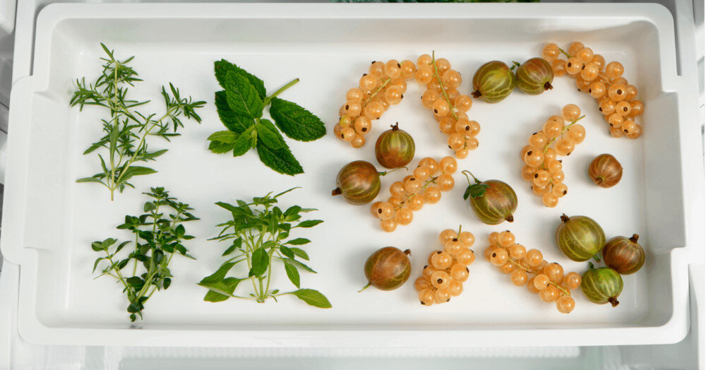 ZAMRAŻARKA LIEBHERR GN 50Vd26 taca do zamrażania wygoda