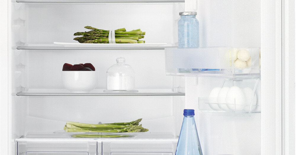 LODÓWKA ELECTROLUX LNT3LE14S wymiary niewielkie urządzenie pojemność 46 l szklana półka 39 dB hotele domki letniskowe