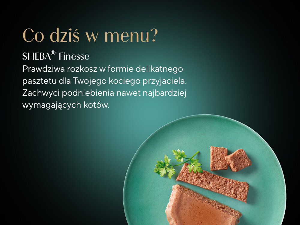 Karma dla kota SHEBA Finesse Łosoś 85 g skład talerz z karmą w sosie