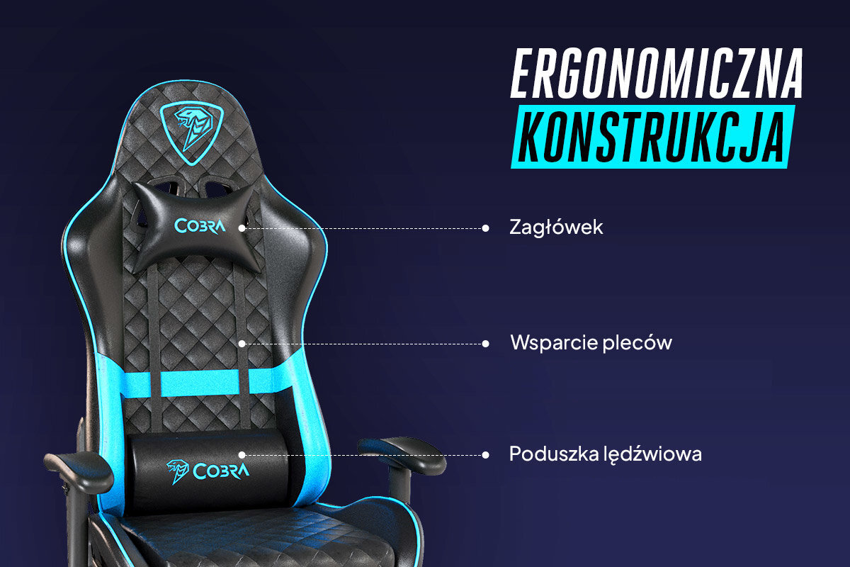 COBRA Draco specjalne poduszki pod lędźwie i kark wsparcie dla kręgosłupa, redukując napięcie mięśniowe i poprawiając postawę