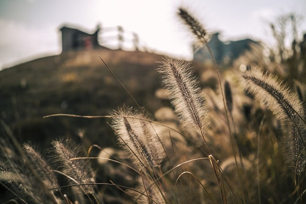 Obiektyw SIGMA C 35mm f-2.0 DG DN aberracje 