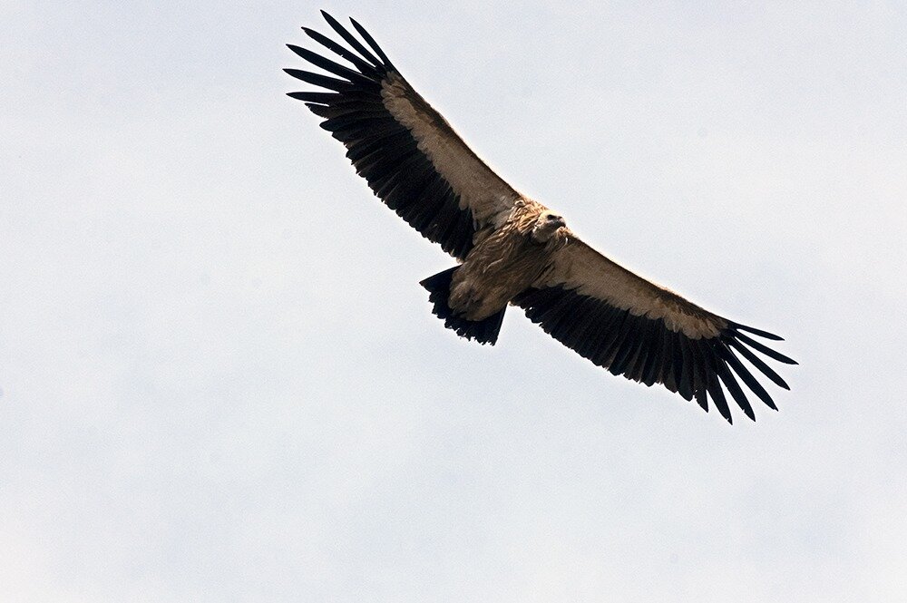 Obiektyw FUJIFILM XF 70-300mm F-4-5.6 R LM OIS WR stabilizacja