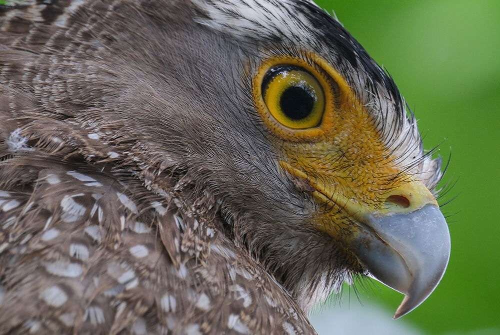 Obiektyw FUJIFILM XF 150-600mm F-5.6-8 R LM OIS WR wytrzymałość