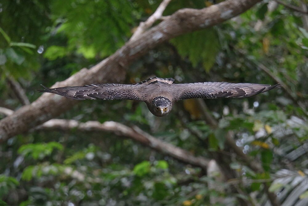 Obiektyw FUJIFILM XF 150-600mm F-5.6-8 R LM OIS WR film