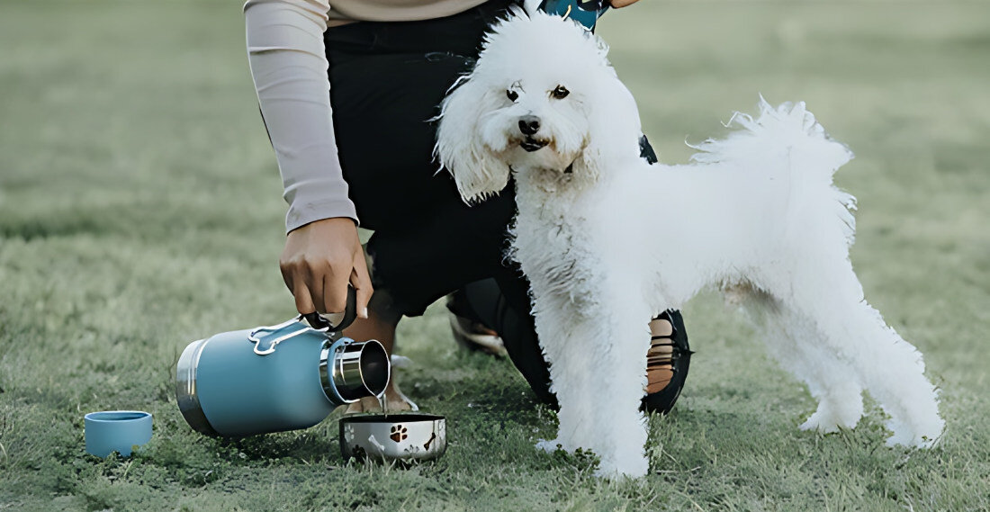 Butelka ASOBU AS-SDB1 0.975 l Niebieski pojemność wykonanie ze stali nierdzewnej odporna na uszkodzenia łatwa w czyszczeniu Bezpieczne materiały zdrowe nawodnienie