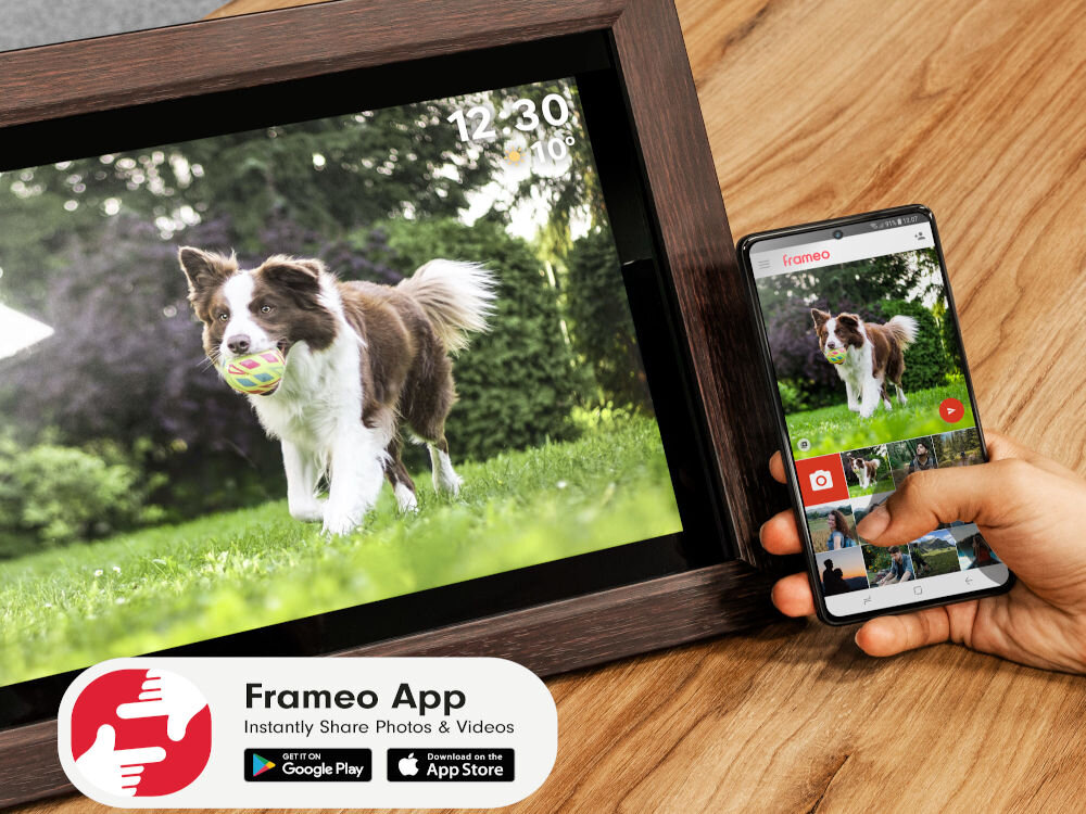 Ramka cyfrowa KRUGER&MATZ KM1102-15 Frameo 15.6 cala Brązowy prezentacja ramki ze zdjęciem psa biegnącego z piłką w pysku na szafce obok telefon z włączoną aplikacją FRAMEO bezpośrednie przesyłanie zdjęć i filmów ze smartfona