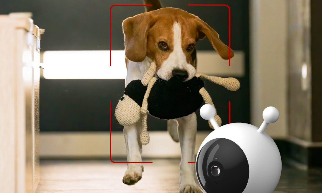 Niania elektroniczna TRUELIFE NannyCam R7 Dual Smart Automatyczne śledzenie ruchu funkcja TrueLife SmartTrack® podąża za ruchem dziecka