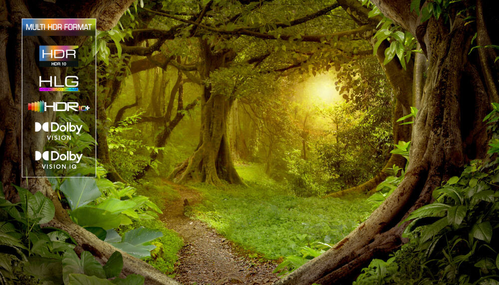 Telewizor TCL 98MQLED85  - HDR