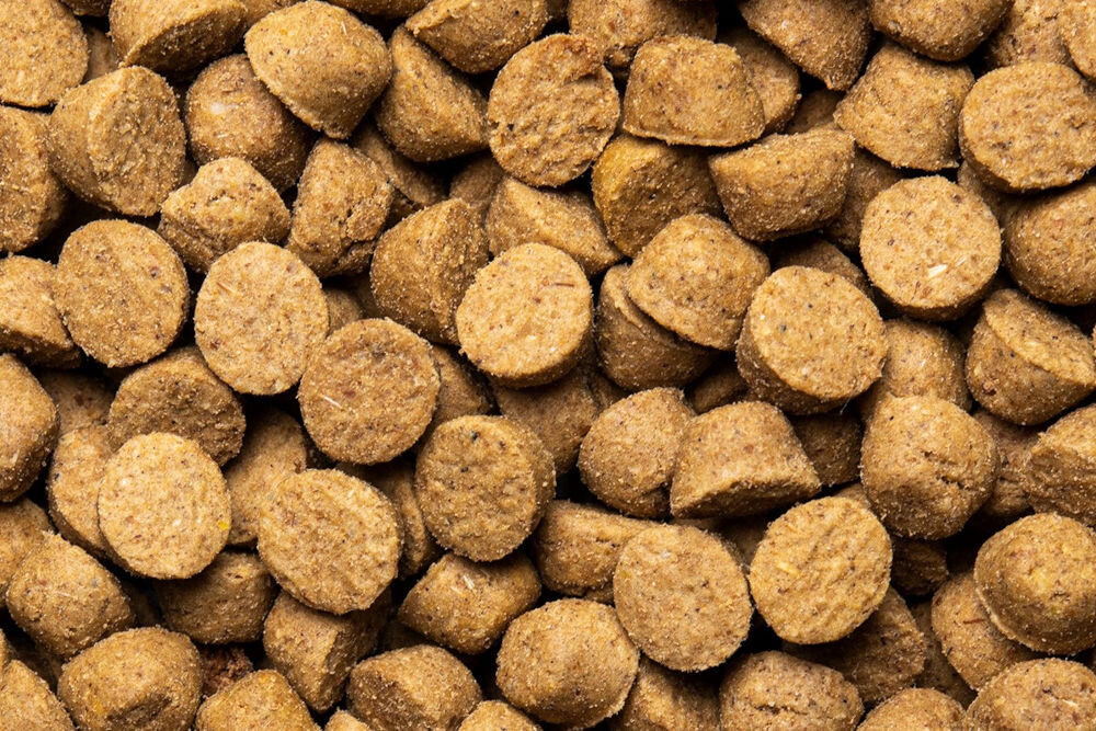 Karma dla psa OBT Dog Food Adult Small Breed Fish Ryba 1 kg dla dorosłych psów bez sztucznych dodatków pieczona w niskiem temperaturze