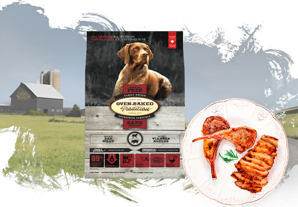 Karma dla psa OBT Dog Food Grain Free Red Meat 2.27 kg opakowanie karmy i talerz z całym Fish Rybaiem na tle pól z widoczna fermą w oddali