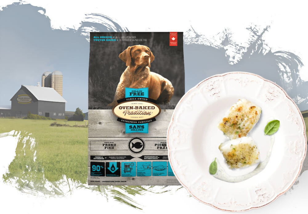 Karma dla psa OBT Dog Food Grain Free Red Meat 2.27 kg opakowanie karmy i talerz z całym Fish Rybaiem na tle pól z widoczna fermą w oddali