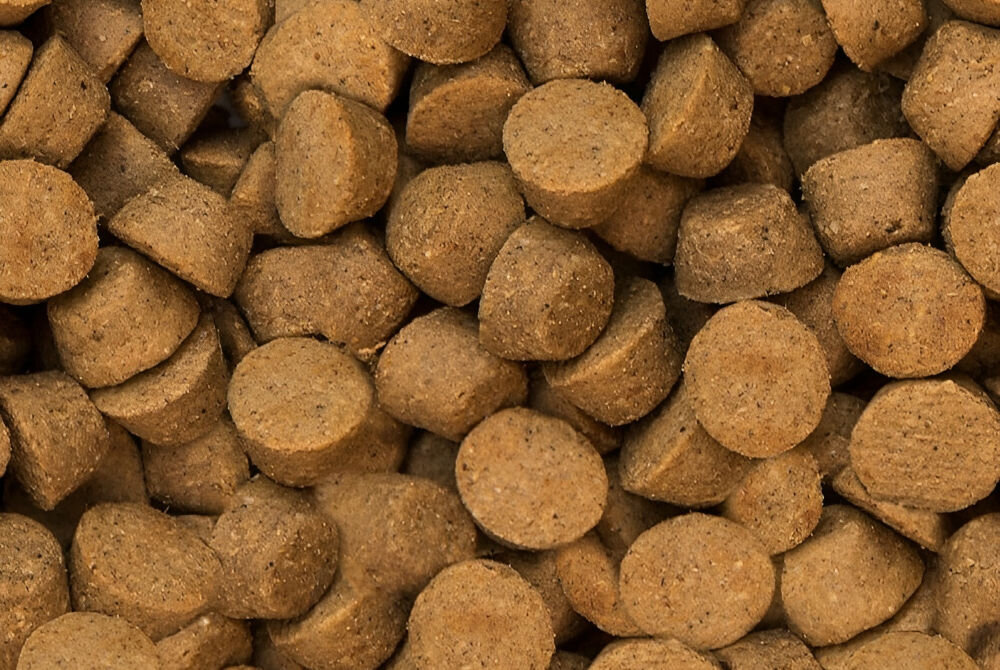 Karma dla psa OBT Dog Food Grain Free Red Meat 2.27 kg dla dorosłych psów bez sztucznych dodatków pieczona w niskiem temperaturze