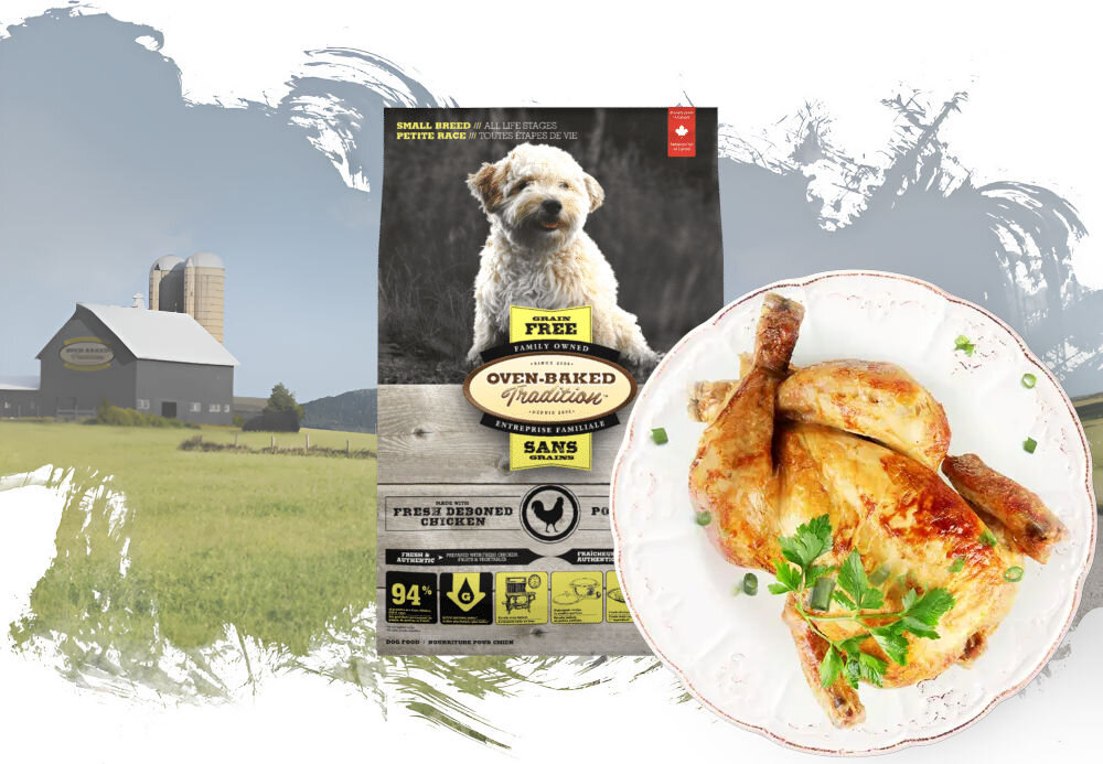 Karma dla psa OBT Dog Food Grain Free Small Breed Kurczak 1 kg opakowanie karmy i talerz z całym kurczakiem na tle pól z widoczna fermą w oddali