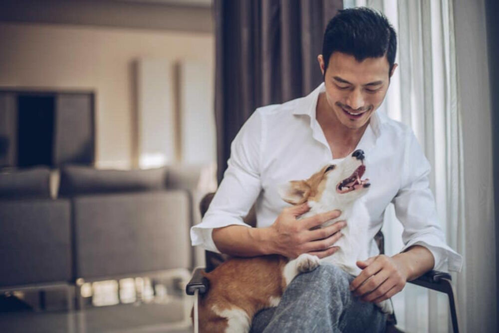 Karma dla psa OBT Dog Food Senior Pieczony Kurczak 11.34 kg składniki analityczne produktu energia metaboliczna kaloryczność