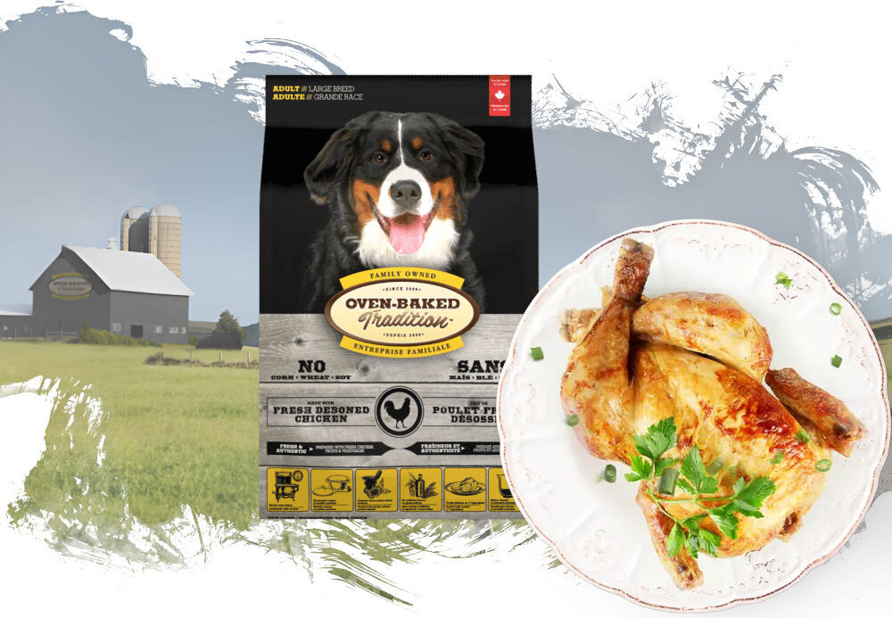 Karma dla psa OBT Dog Food Adult Large Breed Kurczak 11.34 kg opakowanie karmy i talerz z całym kurczakiem na tle pól z widoczna fermą w oddali