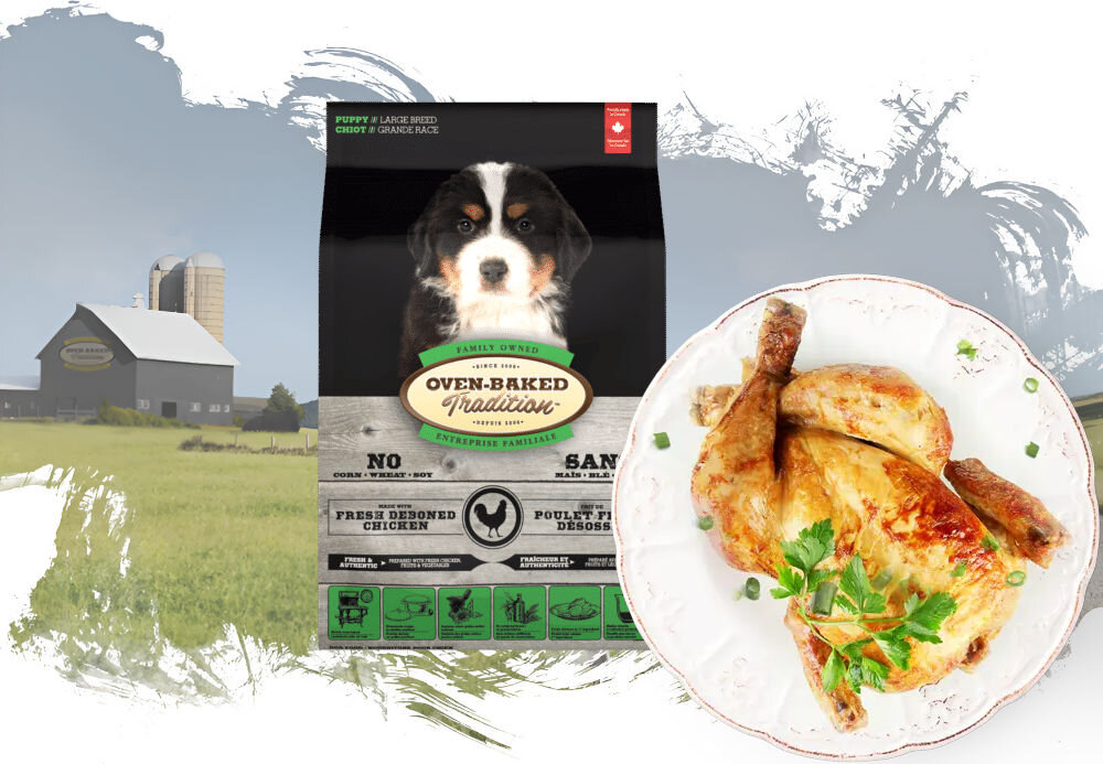 Karma dla psa OBT Dog Food Puppy Large Breed Chicken Kurczak 11.34 kg opakowanie karmy i talerz z rybą na tle pól z widoczna fermą w oddali