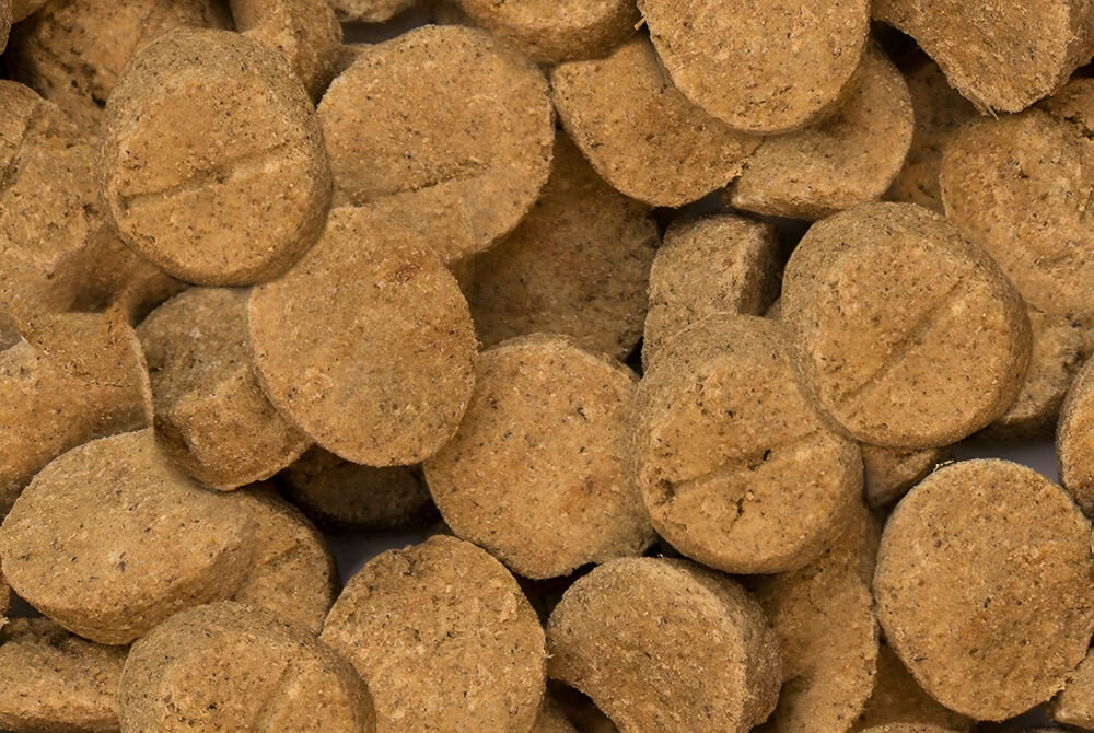 Karma dla psa OBT Dog Food Puppy Large Breed Chicken Kurczak 11.34 kg dla szczeniąt bez sztucznych dodatków pieczona w niskiem temperaturze