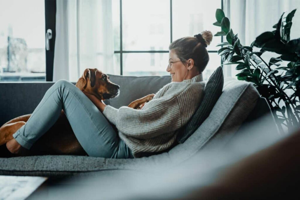 Karma dla psa OBT Dog Food Puppy Large Breed Chicken Kurczak 11.34 kg składniki analityczne produktu energia metaboliczna kaloryczność