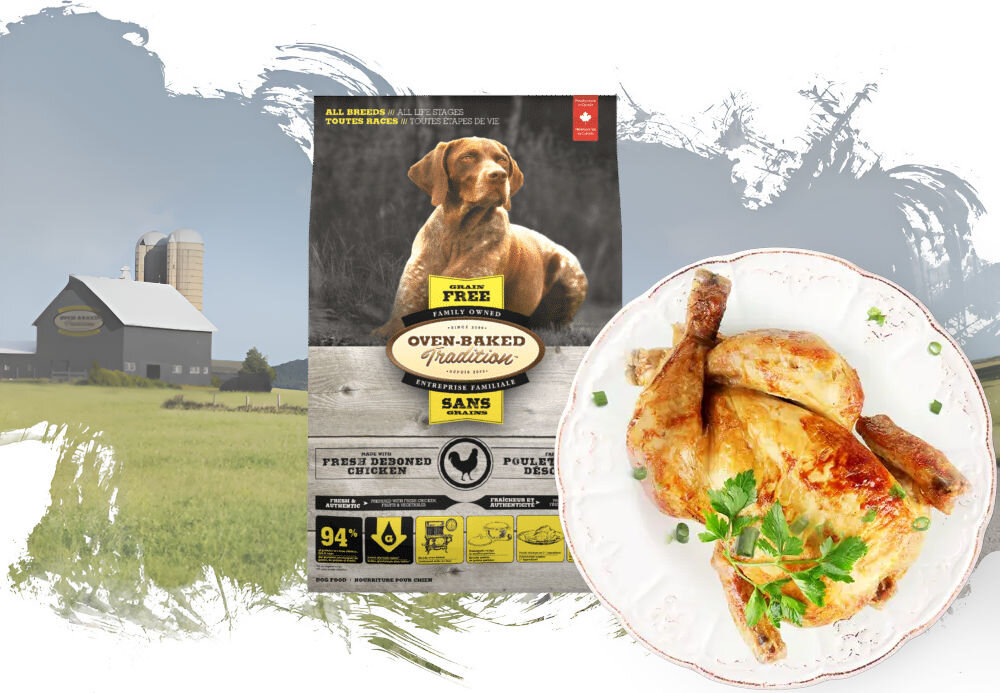 Karma dla psa OBT Dog Food Grain Free Chicken Kurczak 11.34 kg opakowanie karmy i talerz z rybą na tle pól z widoczna fermą w oddali
