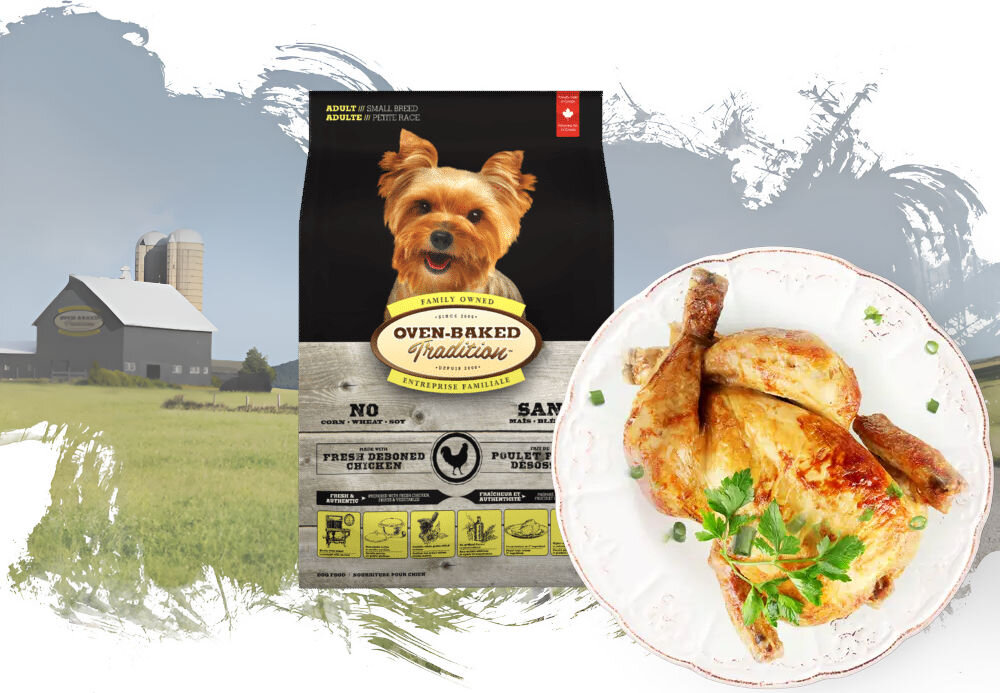 Karma dla psa OBT Dog Food Adult Small Breed Kurczak 1 kg opakowanie karmy i talerz z całym kurczakiem na tle pól z widoczna fermą w oddali