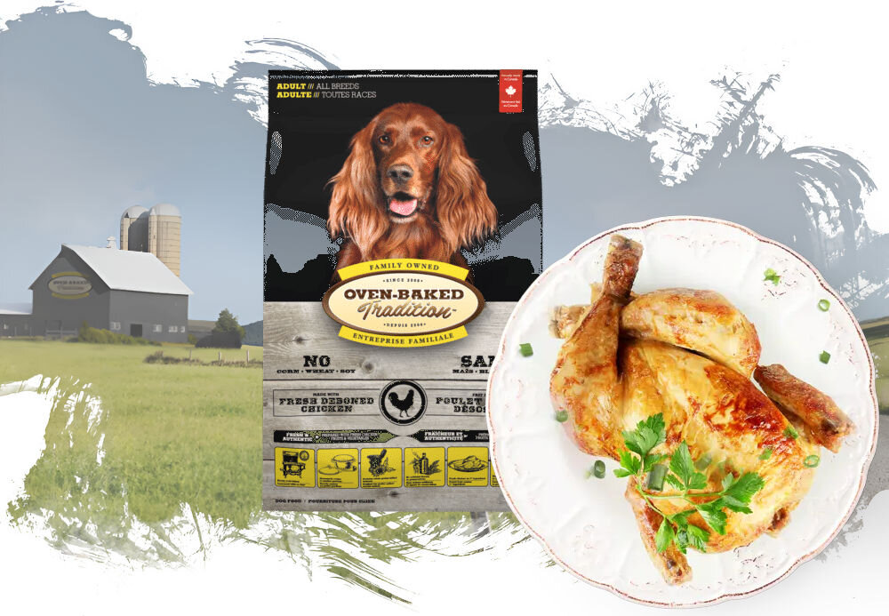 Karma dla psa OBT Dog Food Adult Kurczak 11.34 kg opakowanie karmy i talerz z całym kurczakiem na tle pól z widoczna fermą w oddali