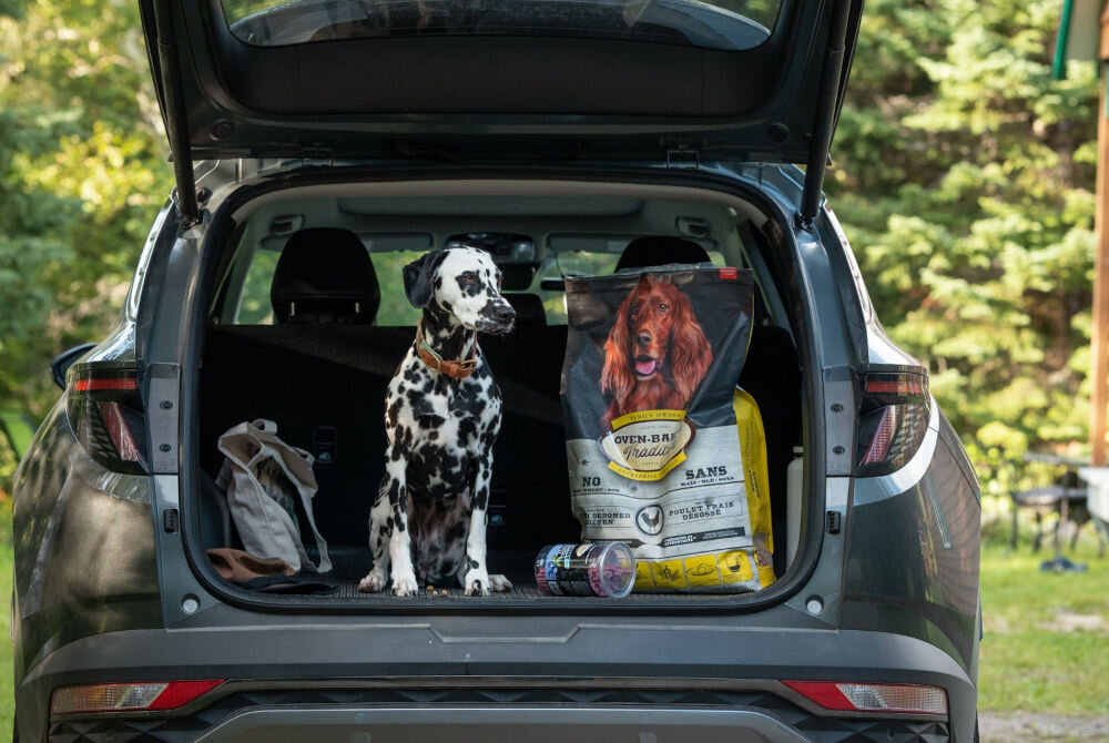 Karma dla psa OBT Dog Food Fish Kurczak 11.34 kg skład produktu świeże mięso owoce warzywa zioła pełne zboża