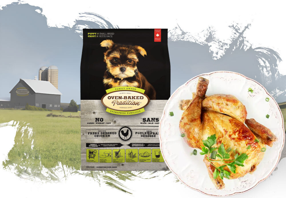 Karma dla psa OBT Dog Food Puppy Small Breed Kurczak 2,27 kg opakowanie karmy i talerz z całym kurczakiem na tle pól z widoczna fermą w oddali