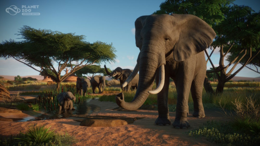 Gra Planet Zoo międzyplatformowej społeczności dziel się siedliskami, krajobrazami ogrodami zoologicznymi Frontier Workshop społeczności Planet Zoo