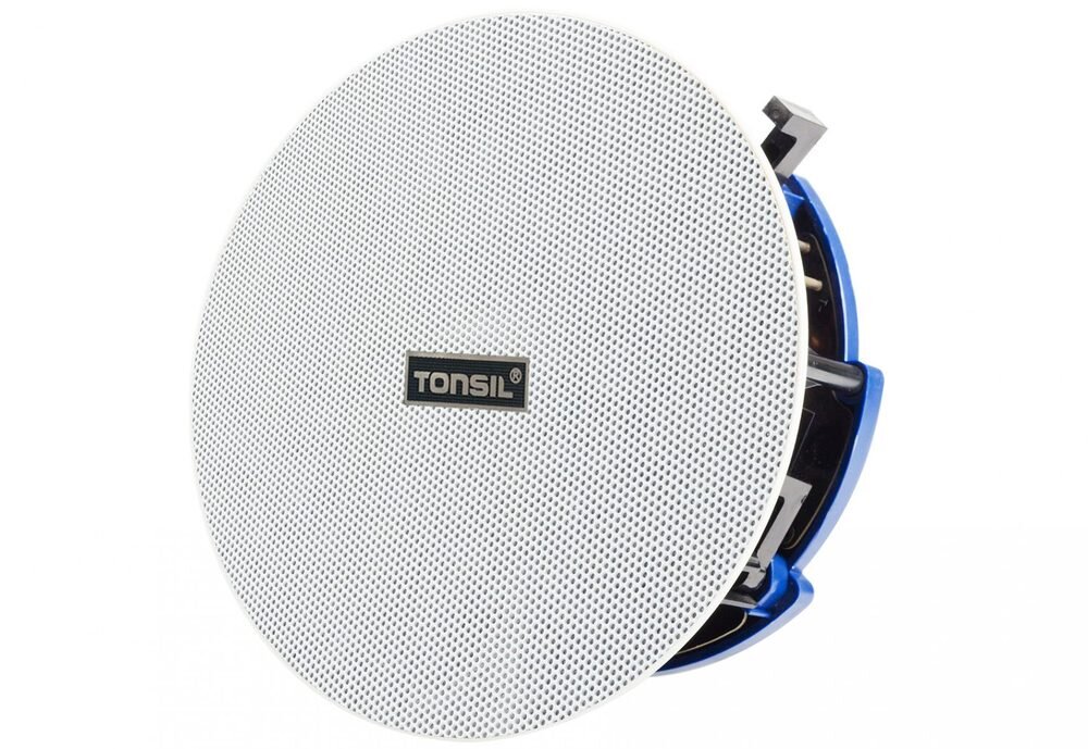 Głośnik instalacyjny TONSIL ZGSU 25P 30W   kv początek opisu