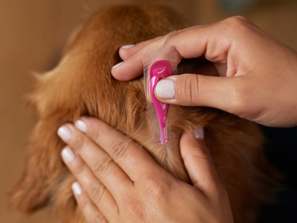 Roztwór do nakrapiania dla psów FRONTLINE TRI-ACT XS 3 x 0,5 ml ochrona skutecznosc