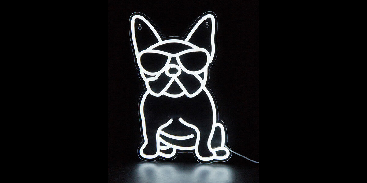 Neon LED MANTA Pies poręczny włącznik ściemniacz regulację jasności 2-metrowy kabel zasilający USB-A 5V/1A energooszczędna łatwa do podłączenia