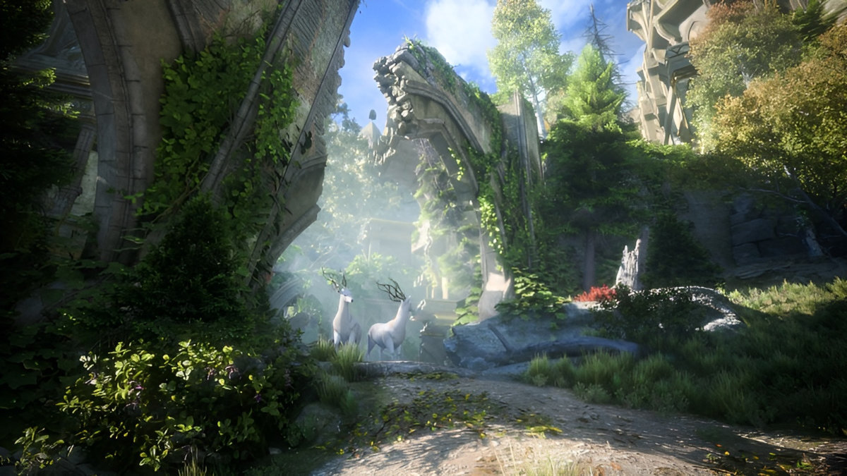 Dragon Age Straz Zaslony