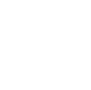 Icon-1