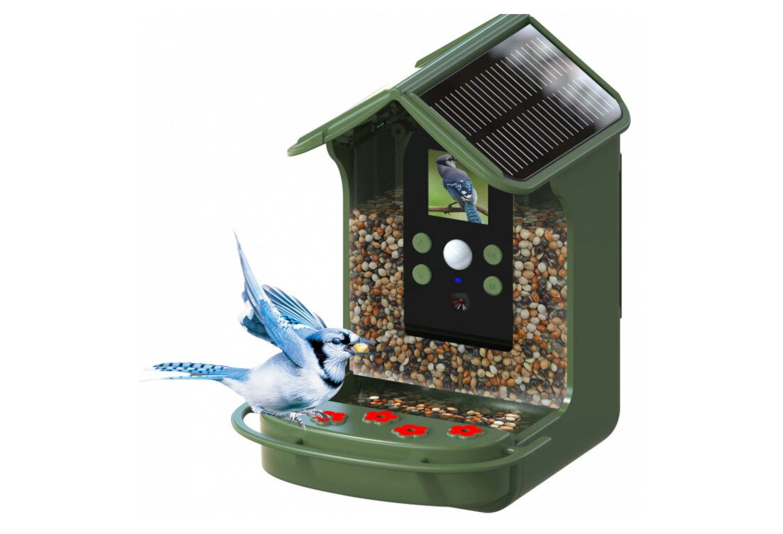 Fotopułapka BRAUN Bird Cam 130 Solar