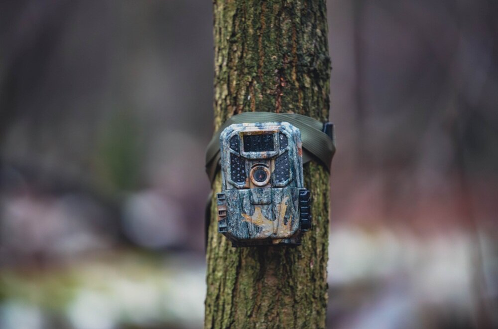 Fotopułapka BRAUN Scouting Cam Black 800 5K kamera leśna do monitoringu przyrody i posesji