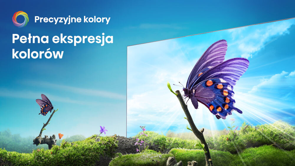 Telewizor HISENSE 58A6N - Precyzyjne kolory