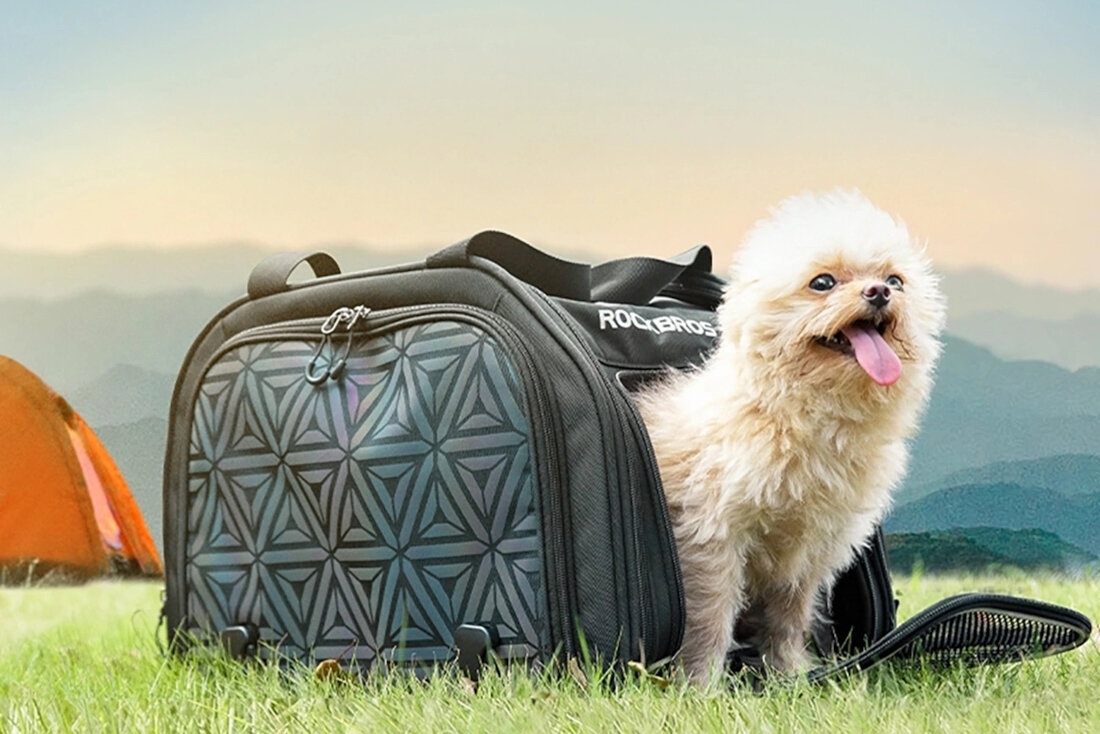 Torba rowerowa na bagażnik ROCKBROS dla kotów i psów 30140028001 zdjęcie lifestyle Wspólne podróże z pupilem