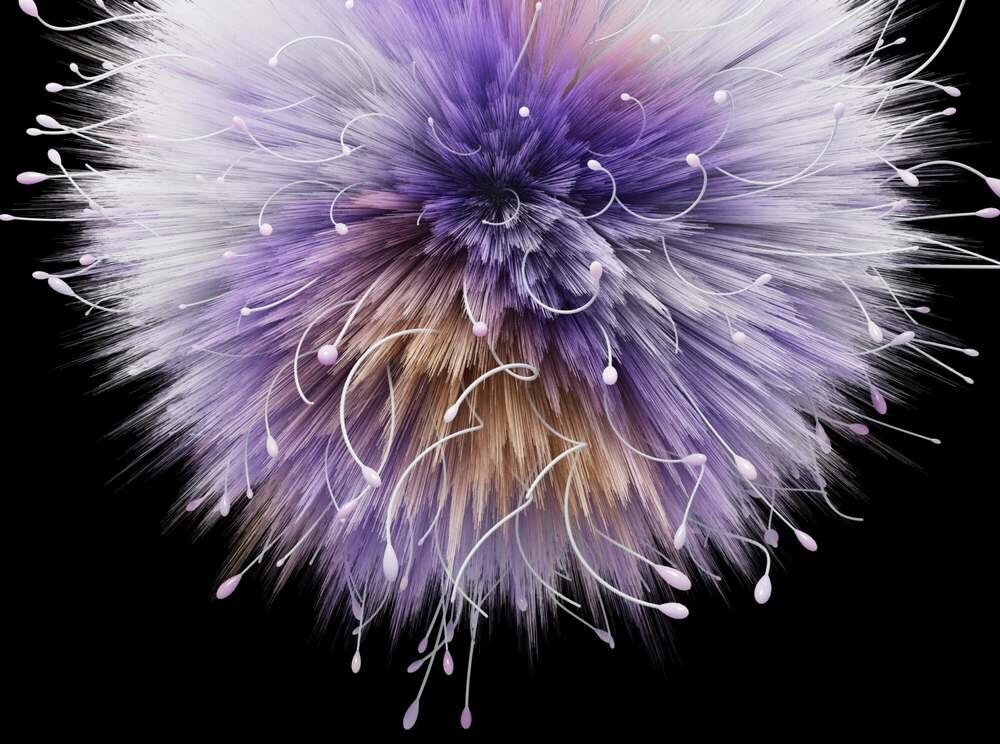 Smartfon HMD Skyline wyświetlacz 