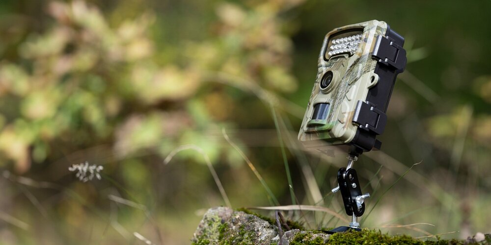 Kamera obserwacyjna Redleaf RF06 na mocowaniu z głowicą kulową przytwierdzona do kamienia porośniętym mchem.